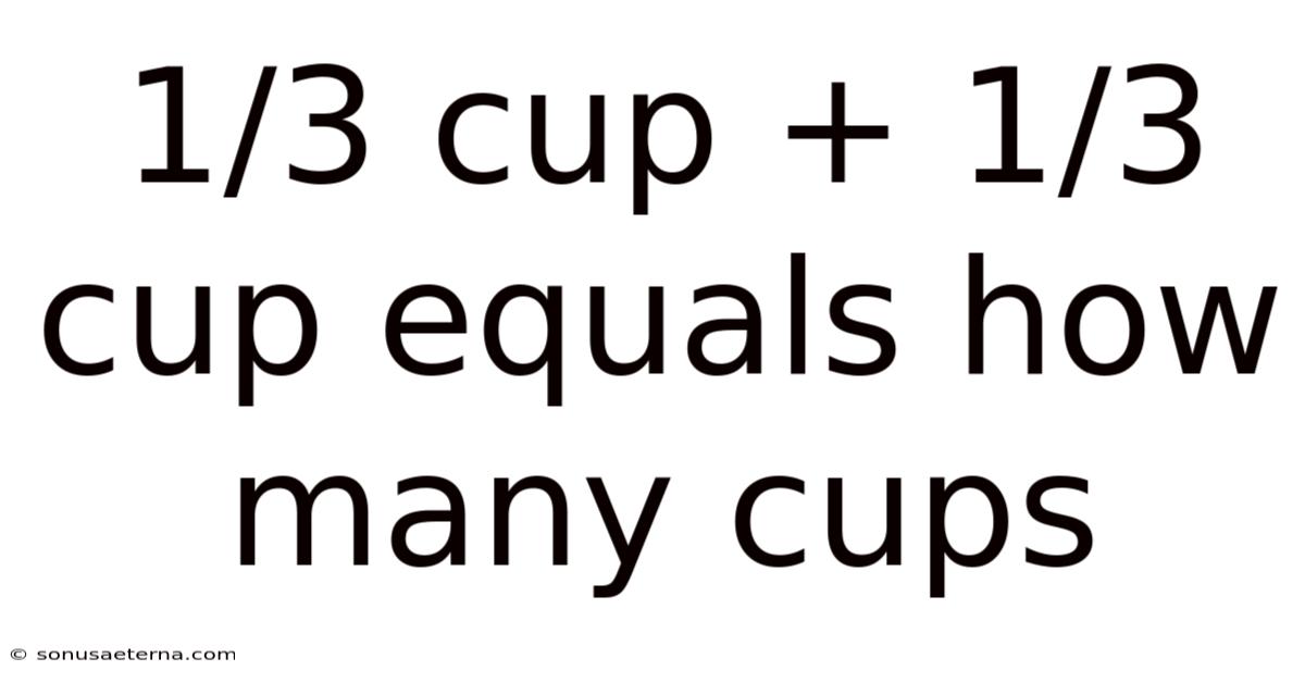1/3 Cup + 1/3 Cup Equals How Many Cups