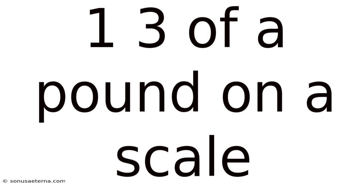 1 3 Of A Pound On A Scale