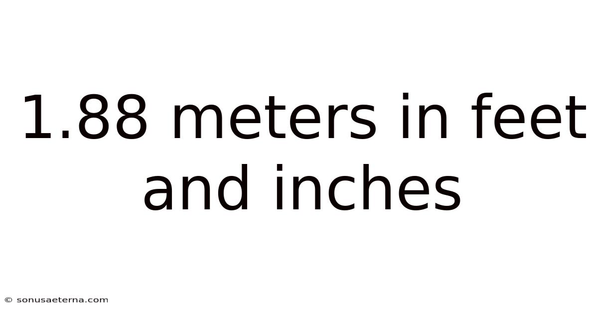 1.88 Meters In Feet And Inches
