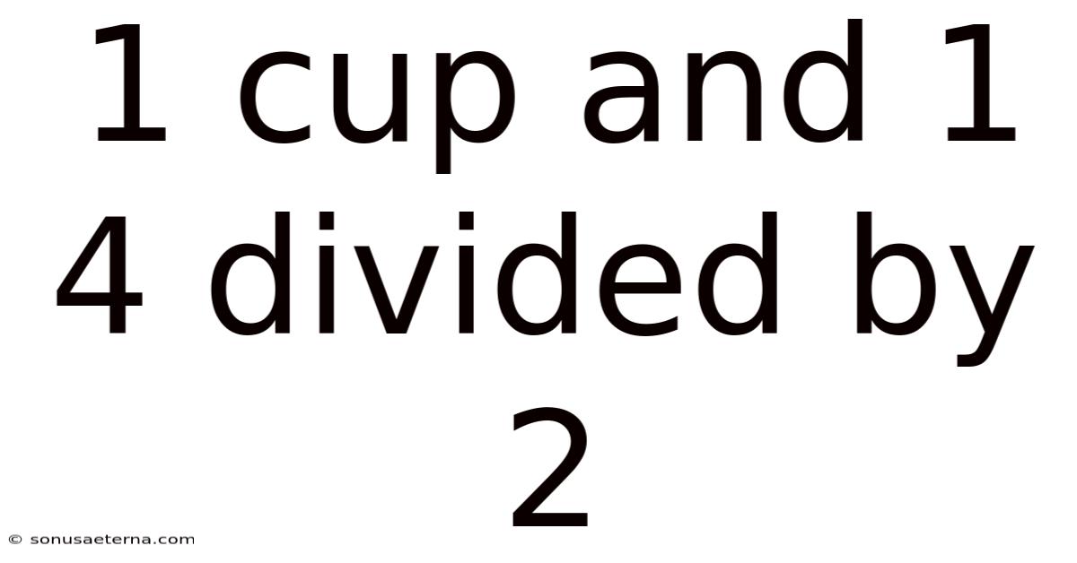 1 Cup And 1 4 Divided By 2