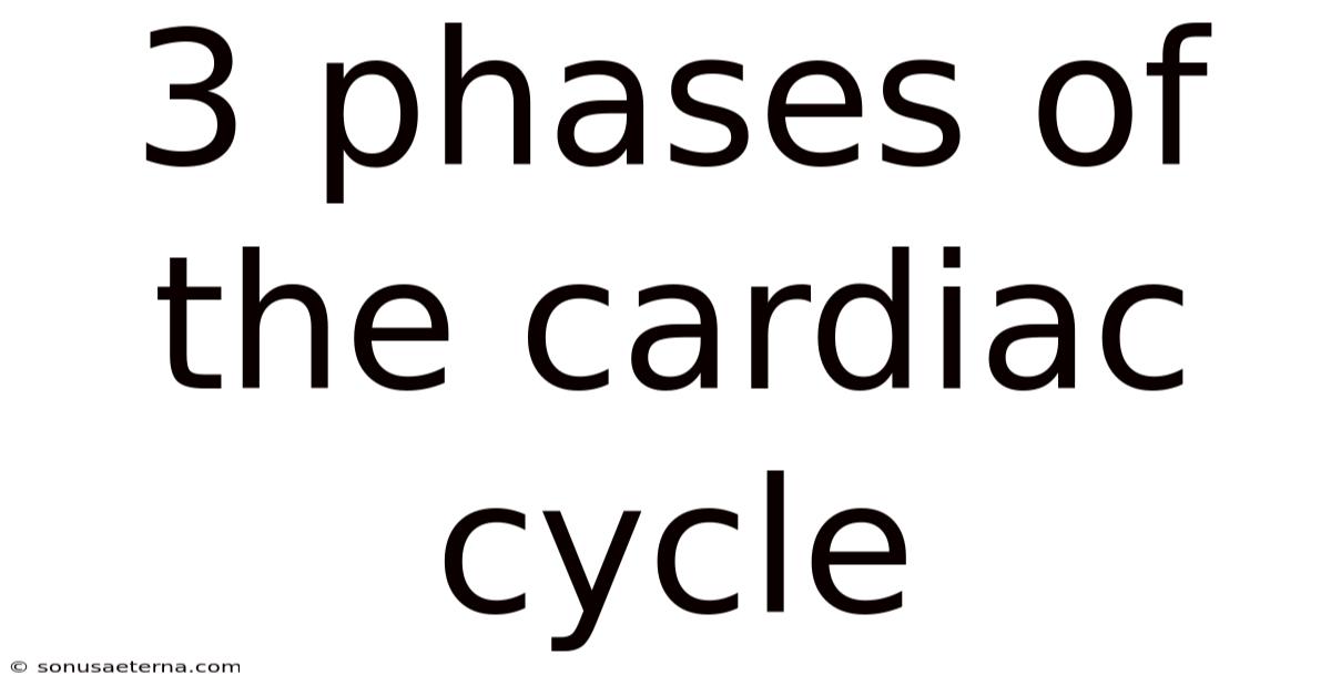 3 Phases Of The Cardiac Cycle