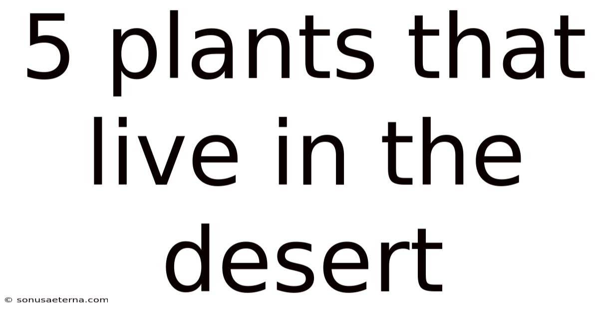 5 Plants That Live In The Desert