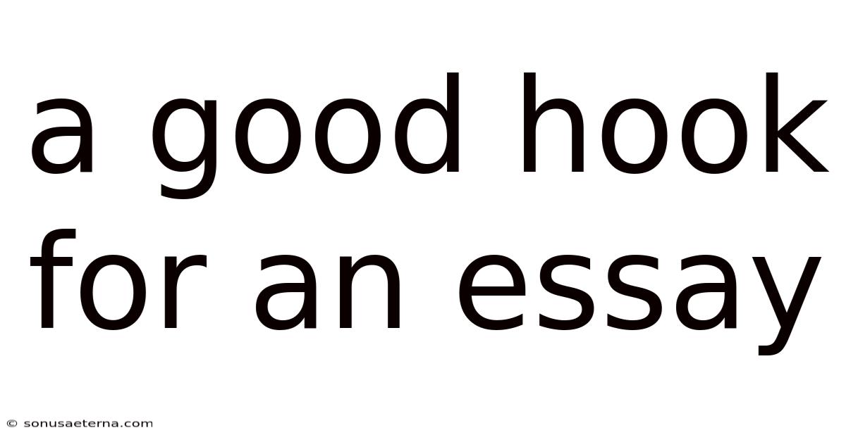 A Good Hook For An Essay