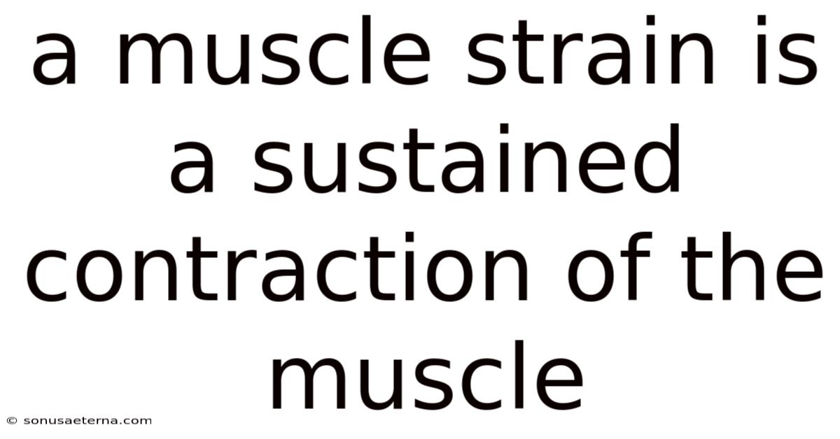 A Muscle Strain Is A Sustained Contraction Of The Muscle