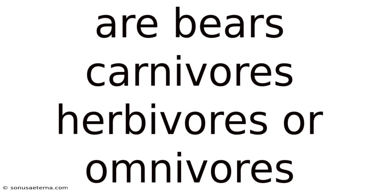 Are Bears Carnivores Herbivores Or Omnivores