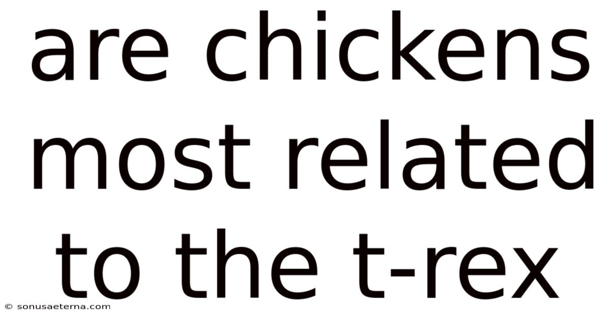 Are Chickens Most Related To The T-rex