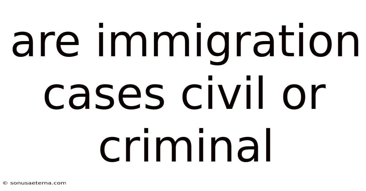 Are Immigration Cases Civil Or Criminal