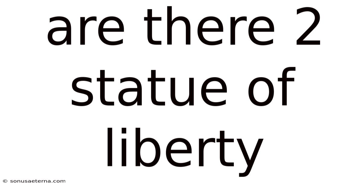 Are There 2 Statue Of Liberty
