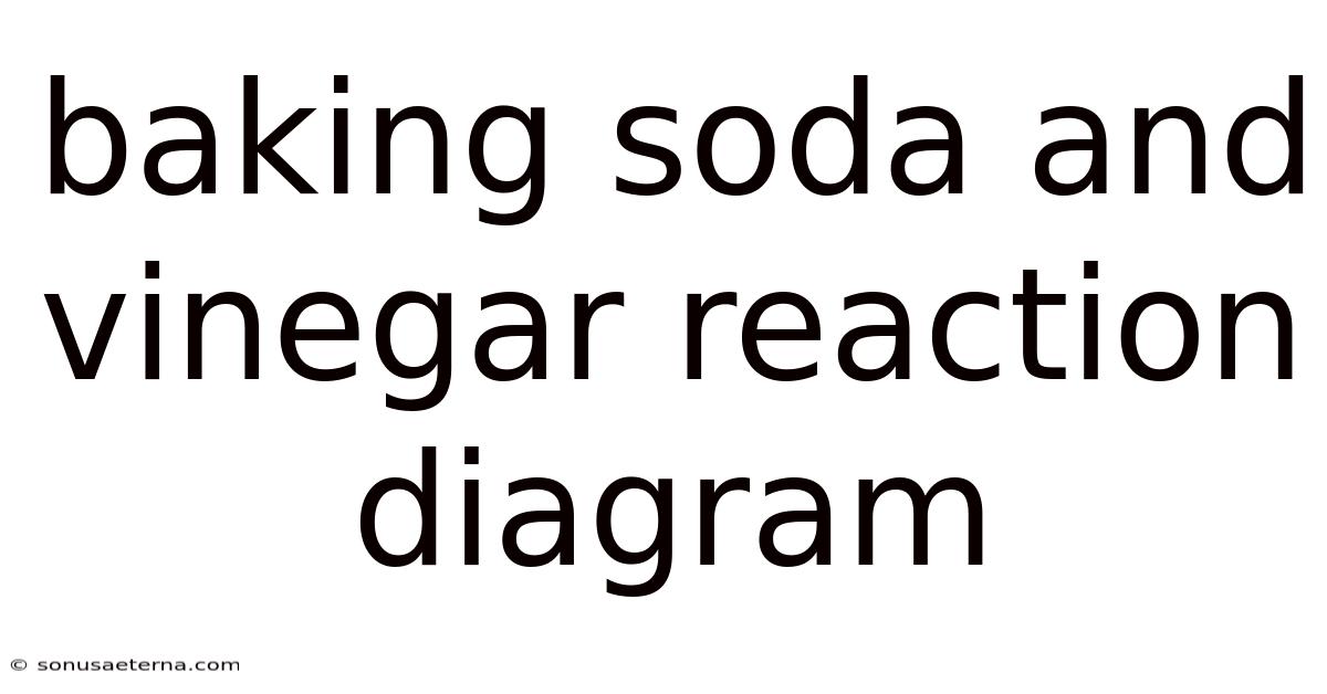 Baking Soda And Vinegar Reaction Diagram