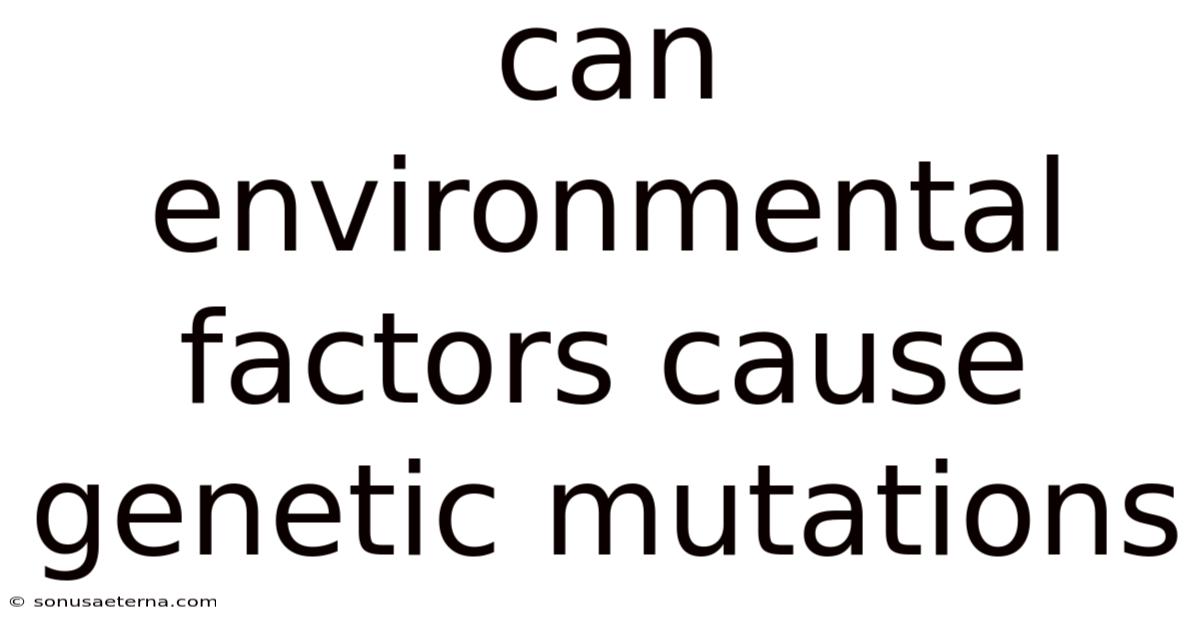 Can Environmental Factors Cause Genetic Mutations