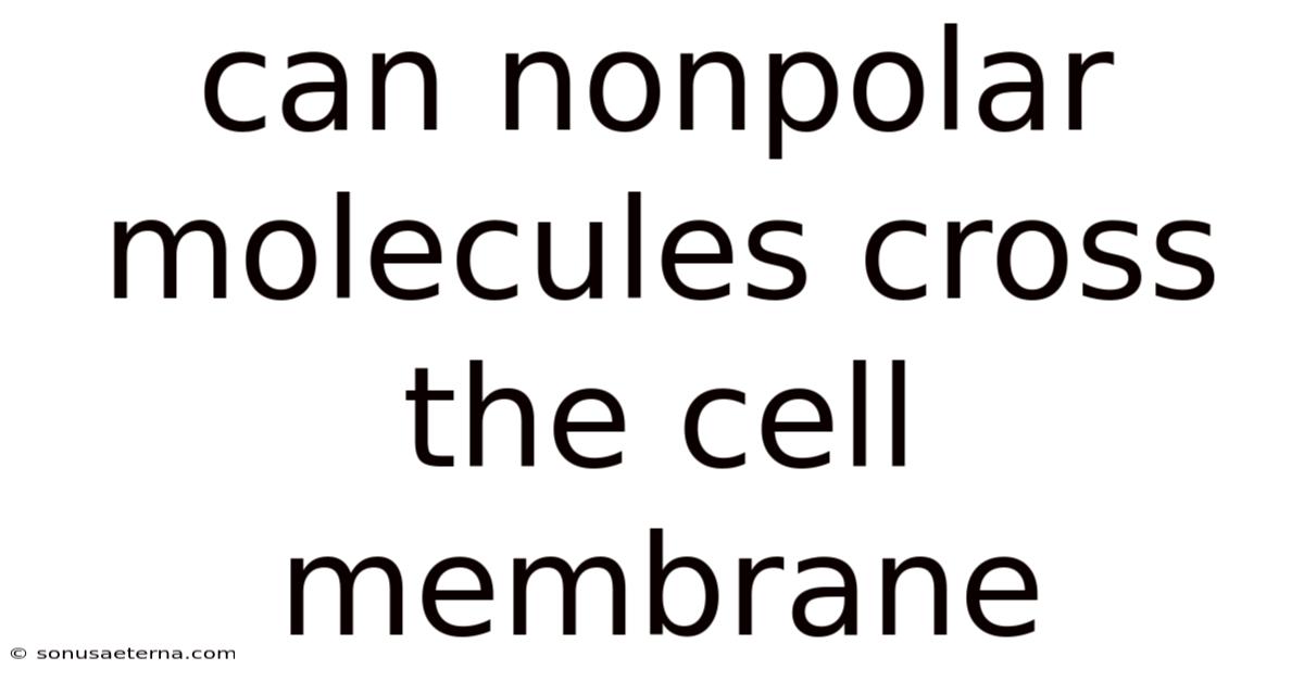 Can Nonpolar Molecules Cross The Cell Membrane