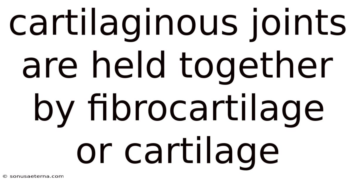 Cartilaginous Joints Are Held Together By Fibrocartilage Or Cartilage