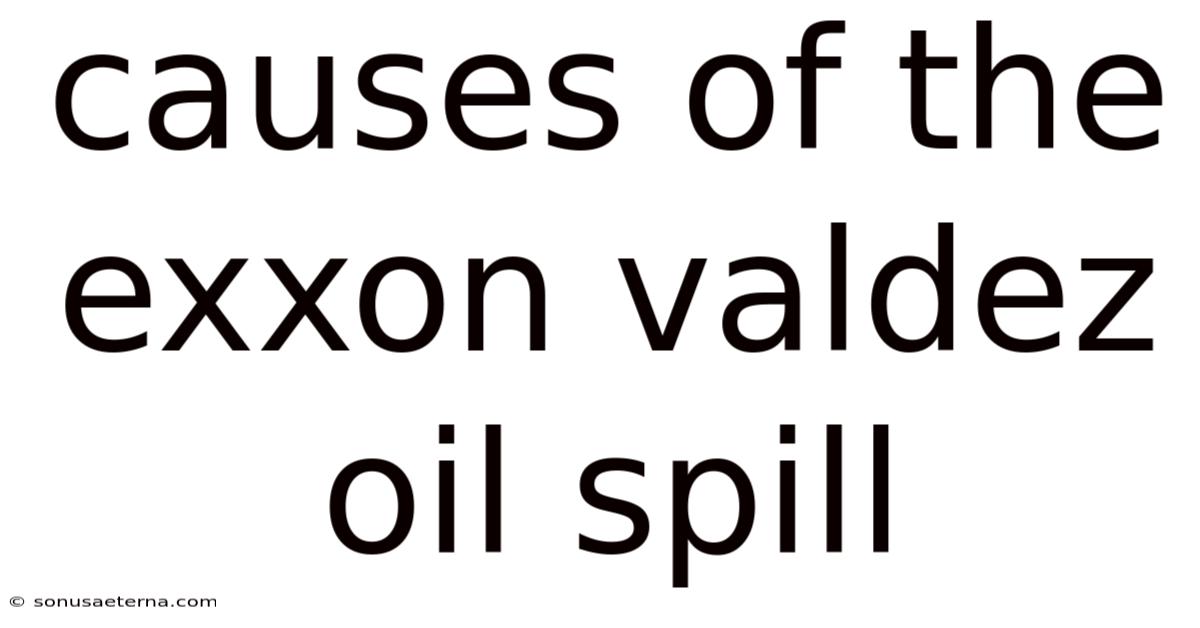 Causes Of The Exxon Valdez Oil Spill