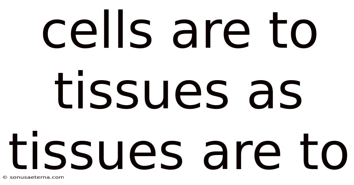 Cells Are To Tissues As Tissues Are To