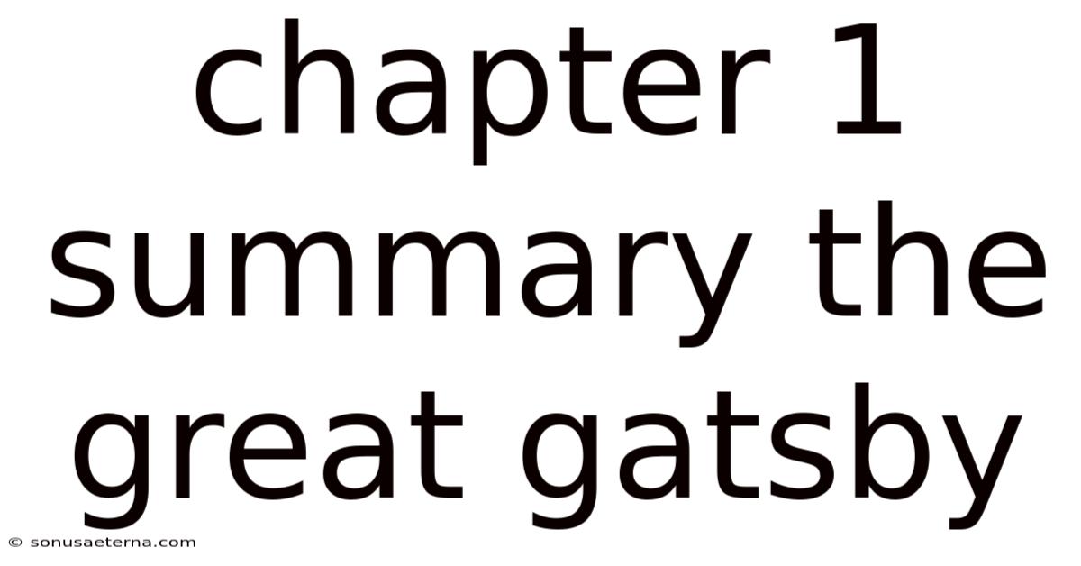 Chapter 1 Summary The Great Gatsby