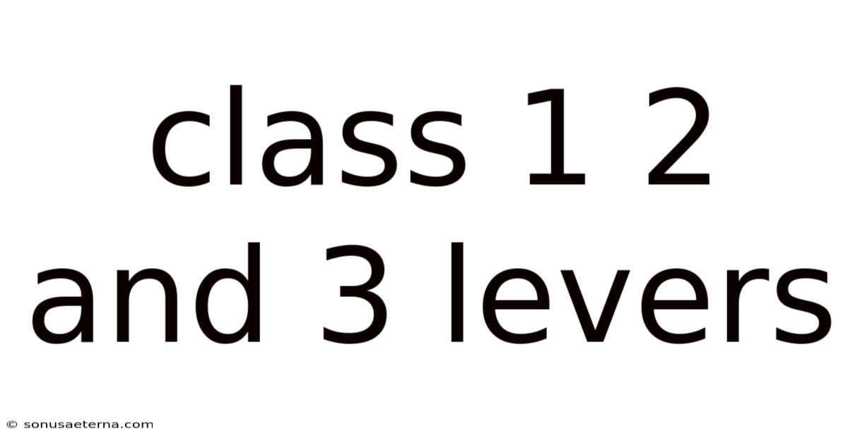 Class 1 2 And 3 Levers