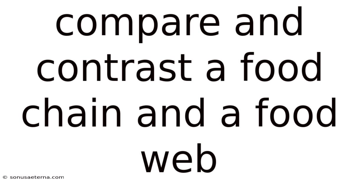 Compare And Contrast A Food Chain And A Food Web