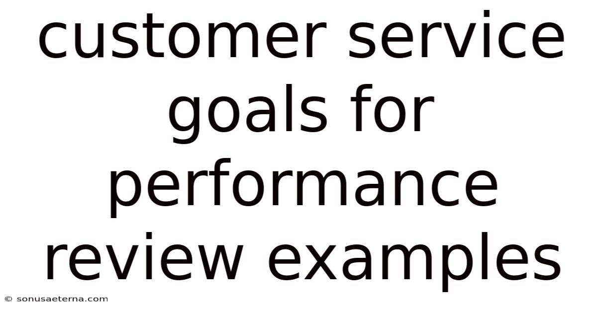 Customer Service Goals For Performance Review Examples