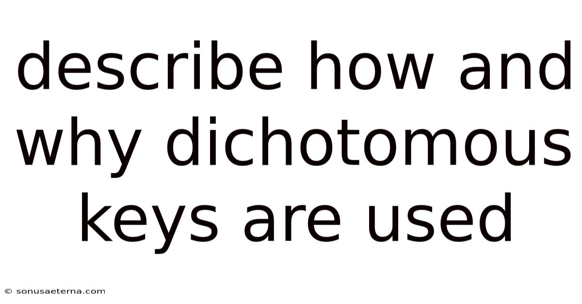 Describe How And Why Dichotomous Keys Are Used
