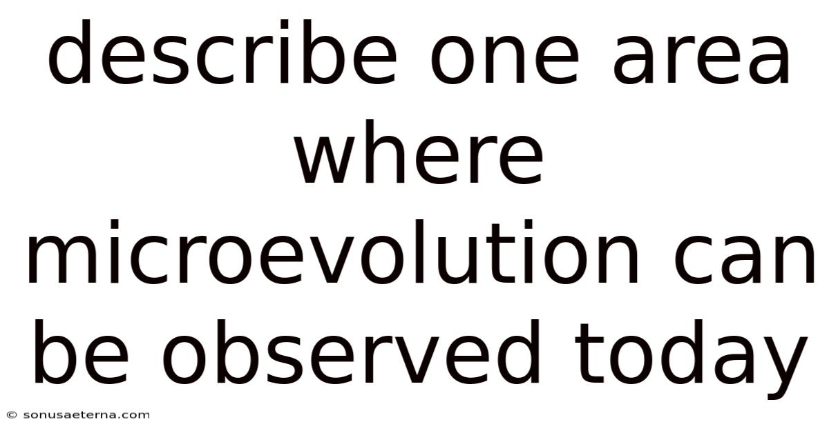 Describe One Area Where Microevolution Can Be Observed Today