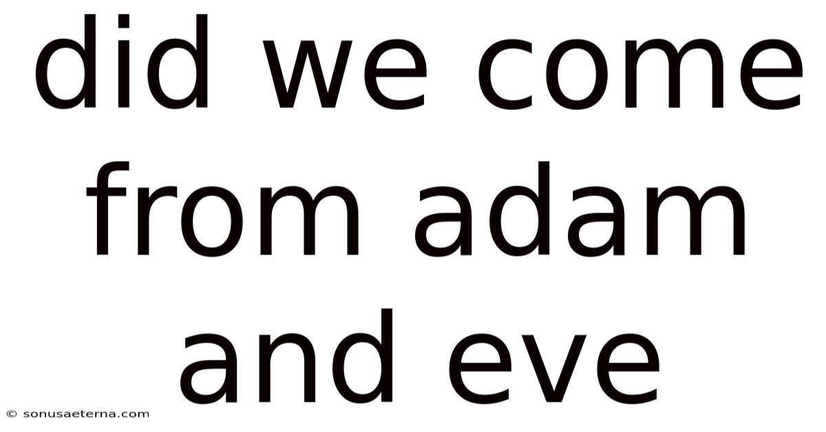Did We Come From Adam And Eve