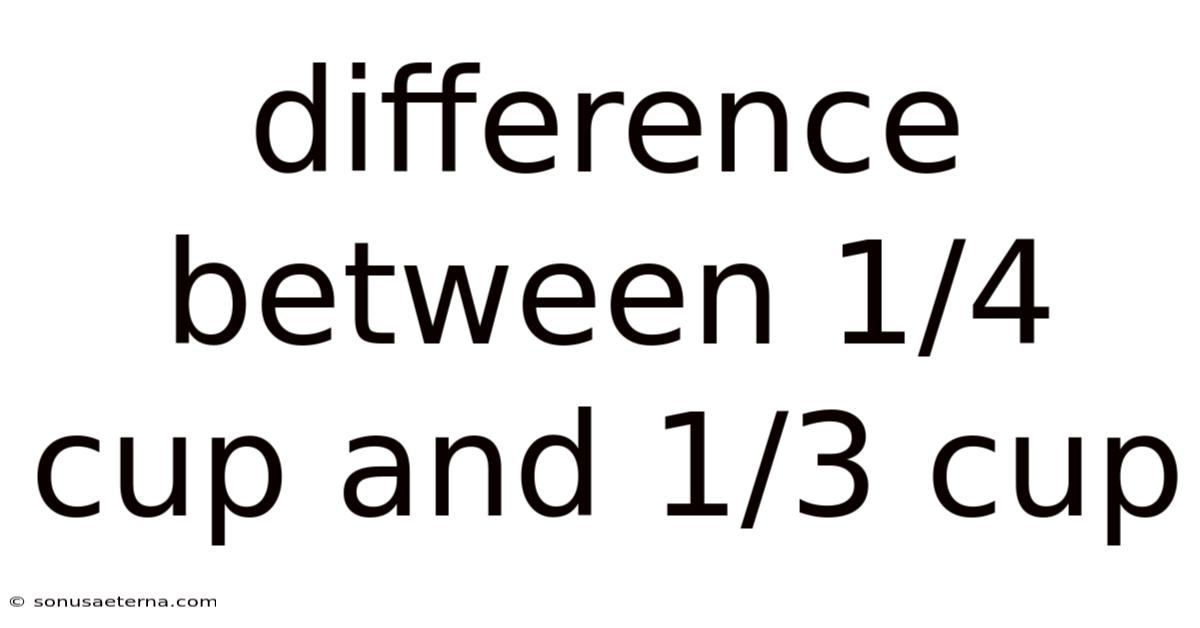 Difference Between 1/4 Cup And 1/3 Cup