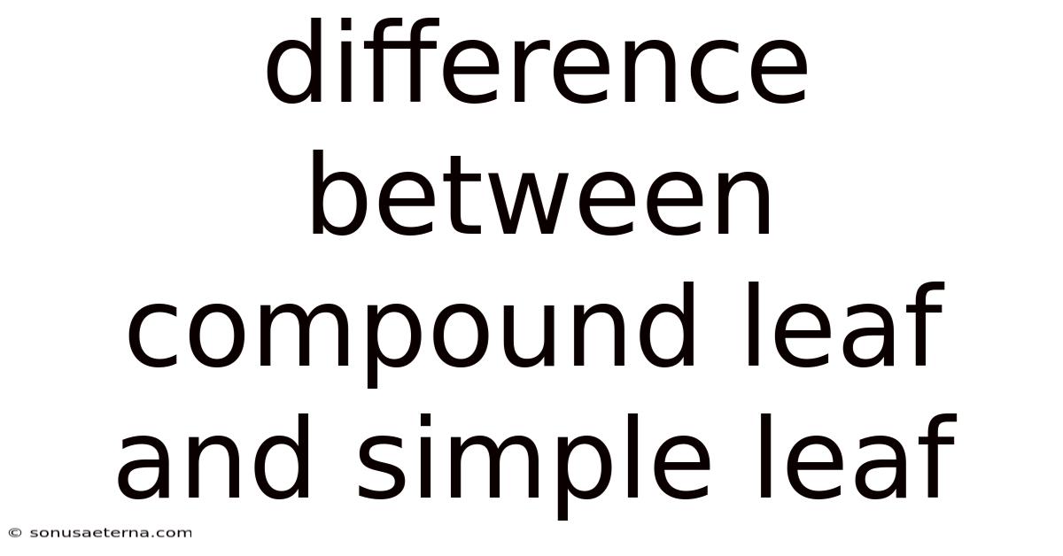 Difference Between Compound Leaf And Simple Leaf