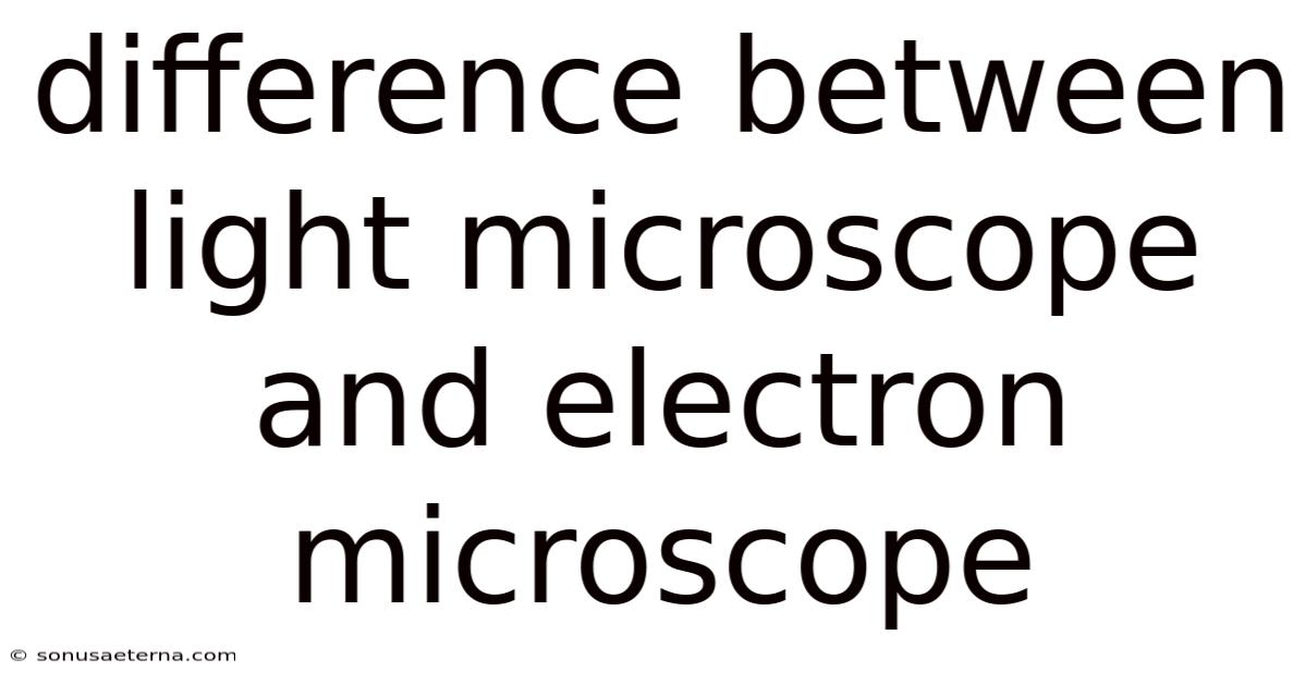 Difference Between Light Microscope And Electron Microscope