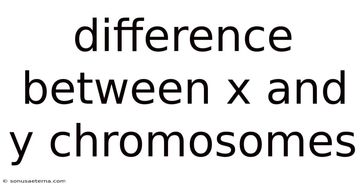 Difference Between X And Y Chromosomes