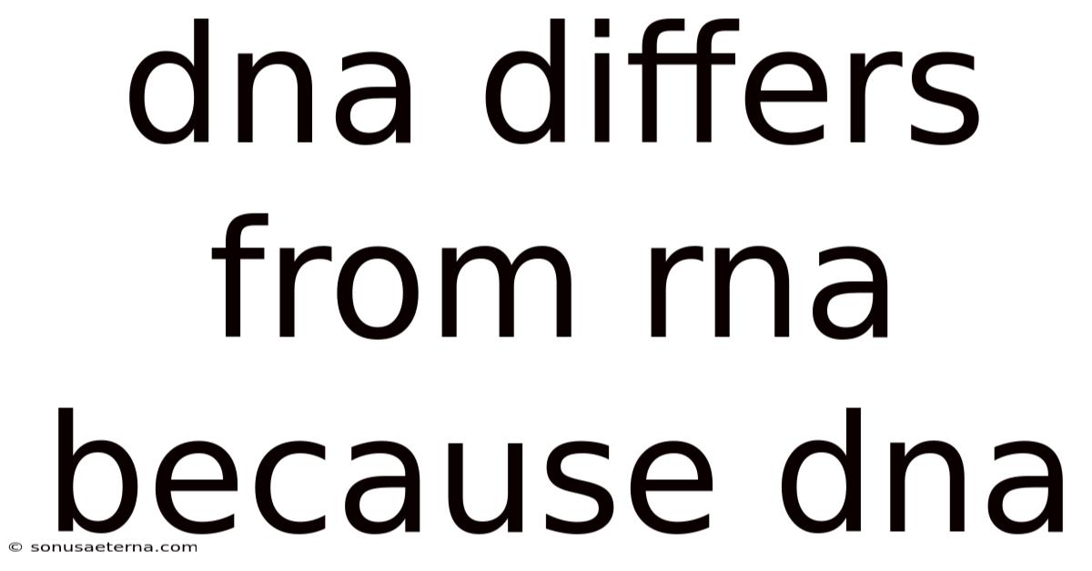 Dna Differs From Rna Because Dna