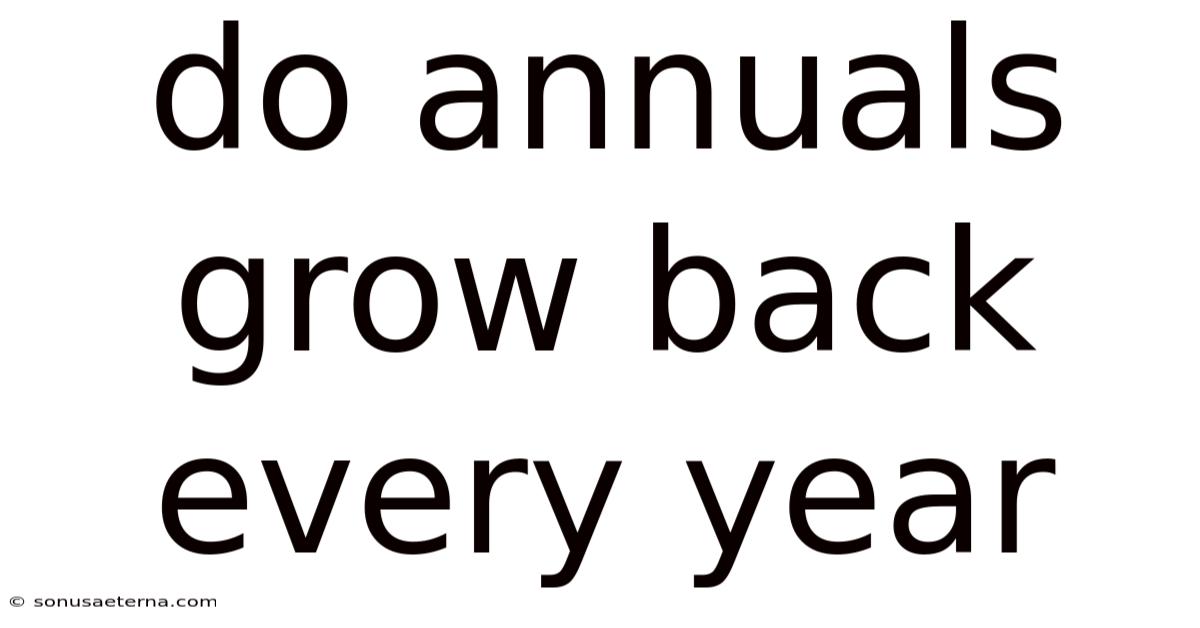Do Annuals Grow Back Every Year