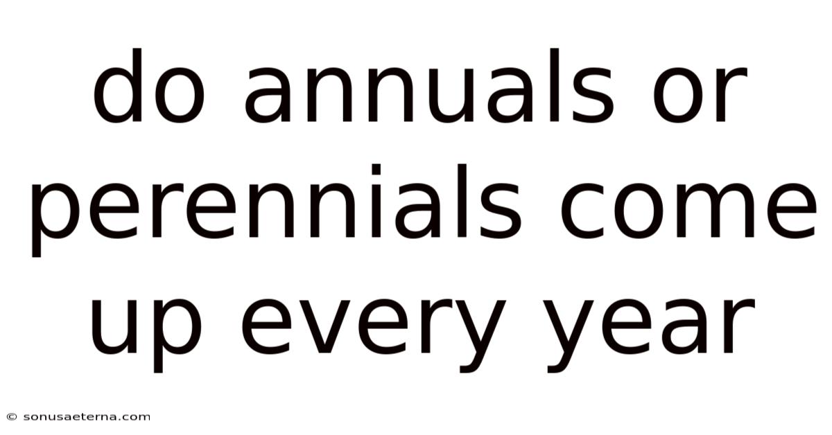Do Annuals Or Perennials Come Up Every Year