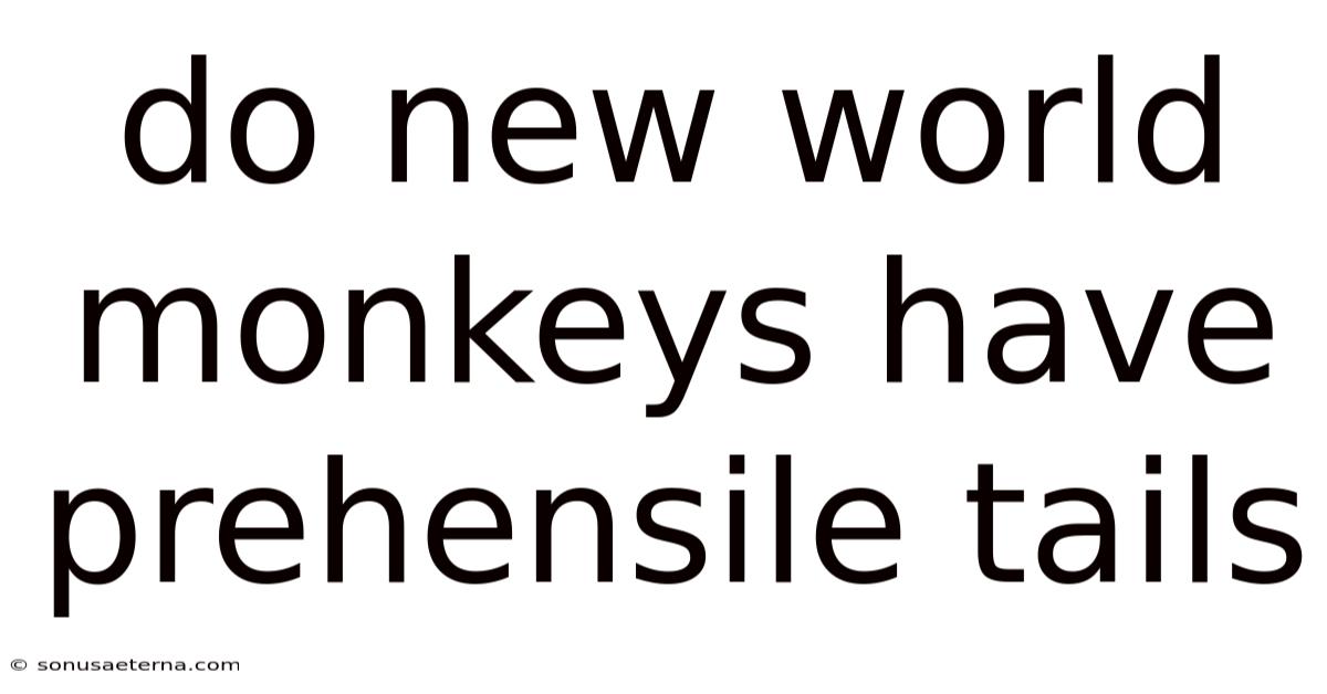 Do New World Monkeys Have Prehensile Tails