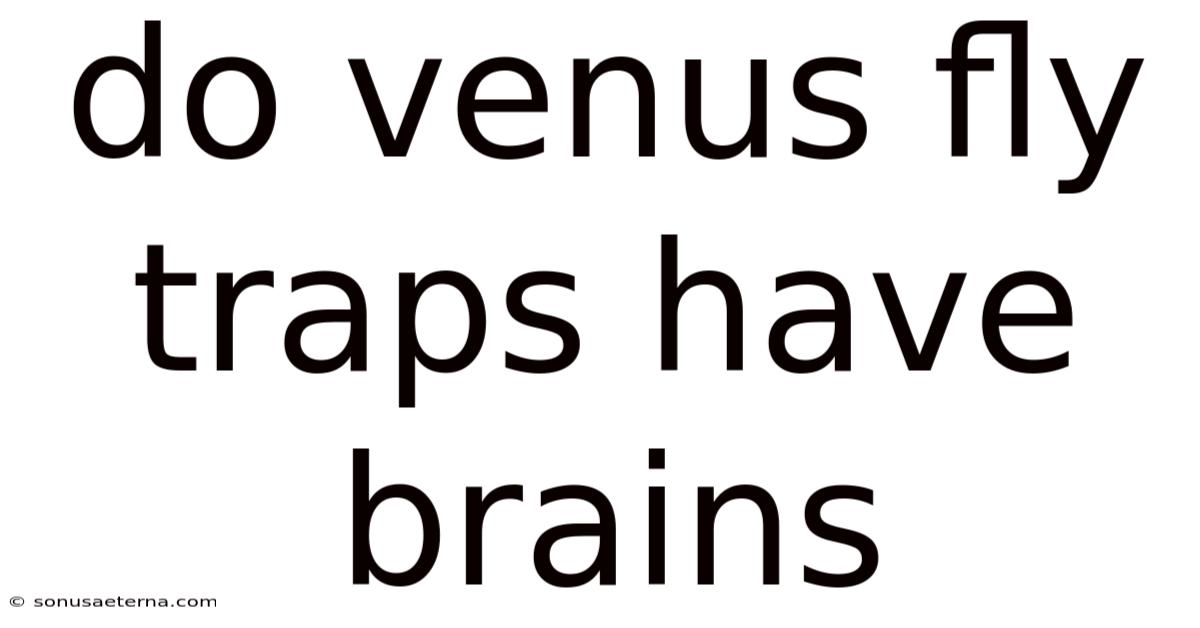 Do Venus Fly Traps Have Brains