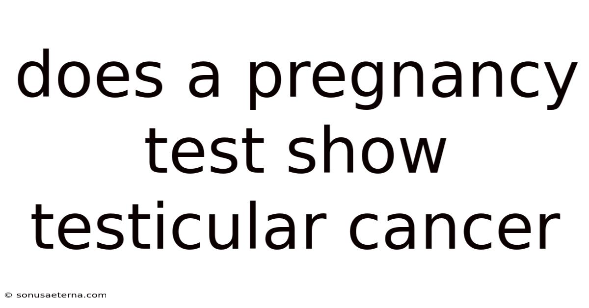 Does A Pregnancy Test Show Testicular Cancer