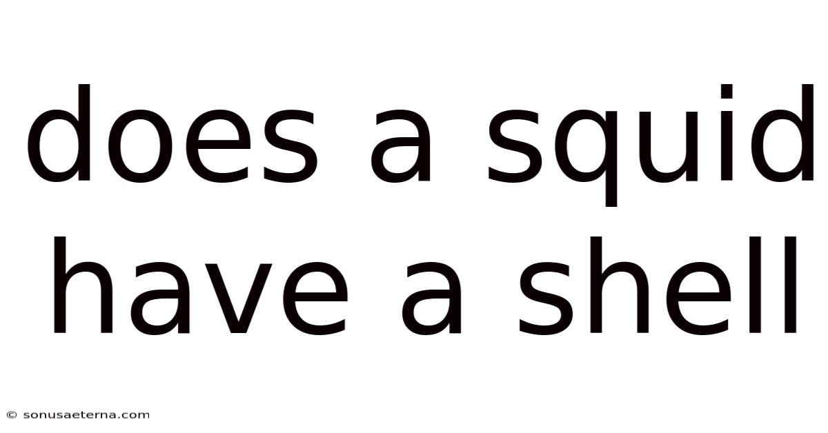 Does A Squid Have A Shell