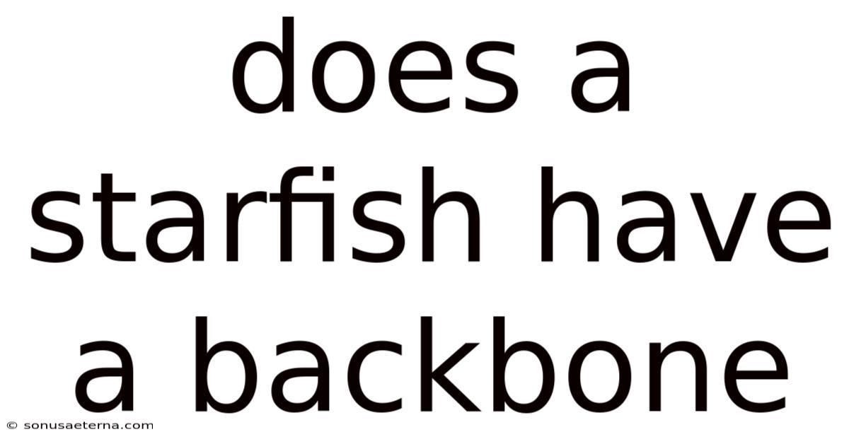 Does A Starfish Have A Backbone