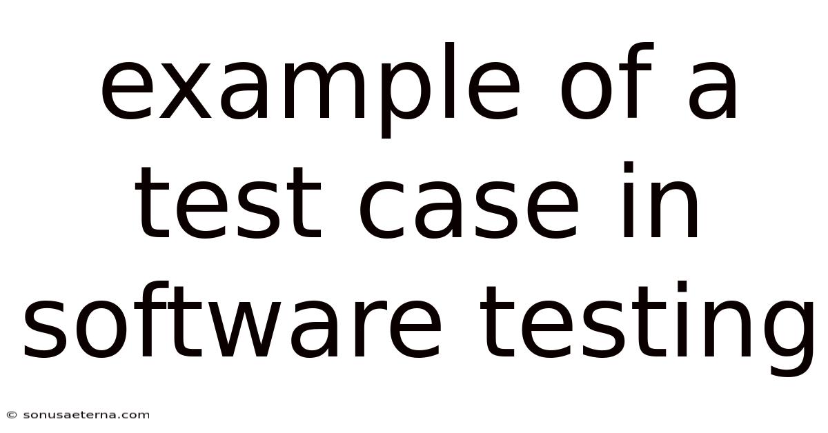 Example Of A Test Case In Software Testing