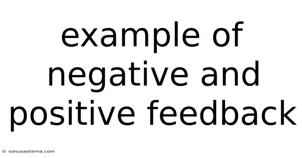 Example Of Negative And Positive Feedback