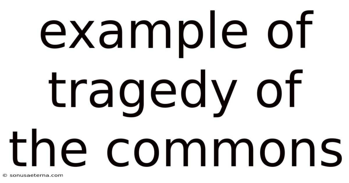 Example Of Tragedy Of The Commons