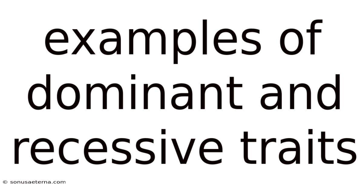 Examples Of Dominant And Recessive Traits