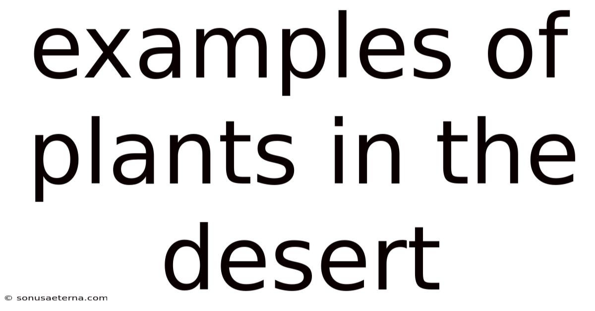 Examples Of Plants In The Desert