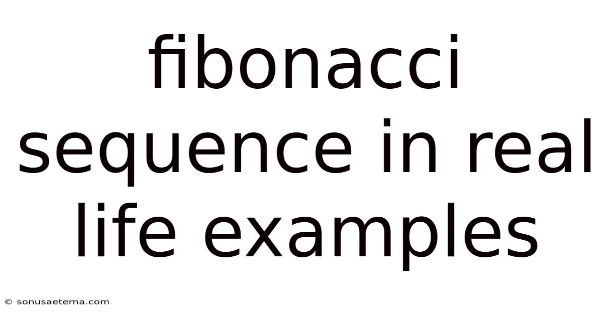 Fibonacci Sequence In Real Life Examples