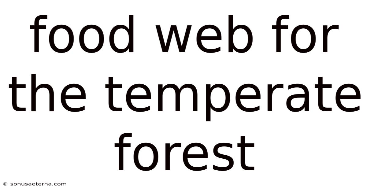 Food Web For The Temperate Forest