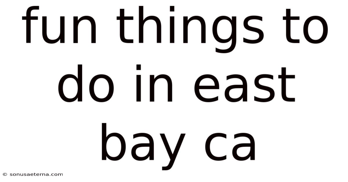 Fun Things To Do In East Bay Ca