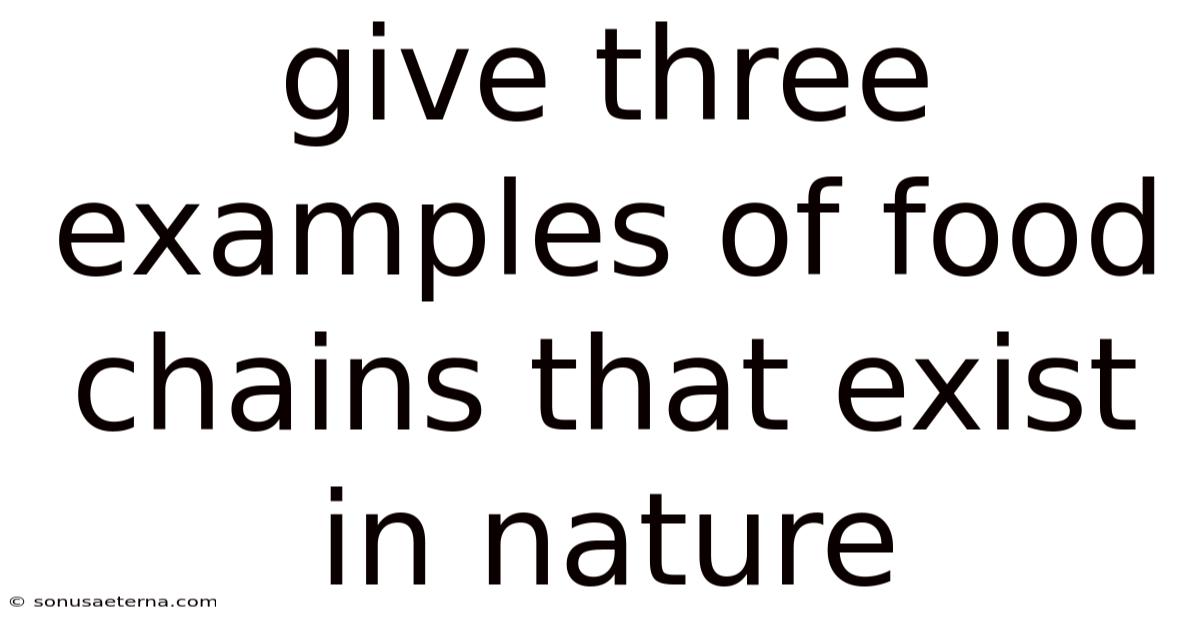 Give Three Examples Of Food Chains That Exist In Nature