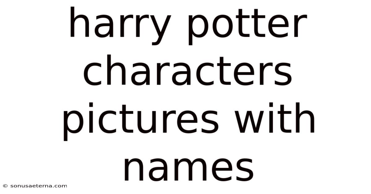 Harry Potter Characters Pictures With Names