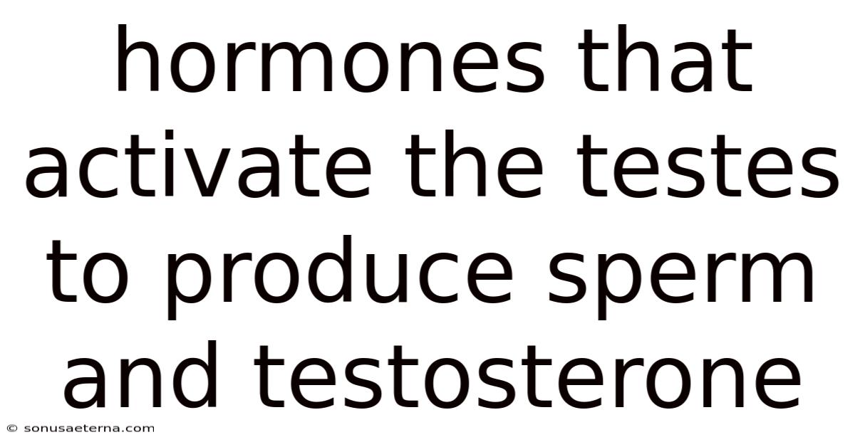 Hormones That Activate The Testes To Produce Sperm And Testosterone