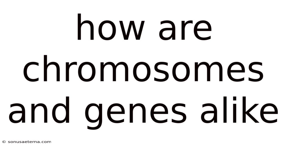 How Are Chromosomes And Genes Alike