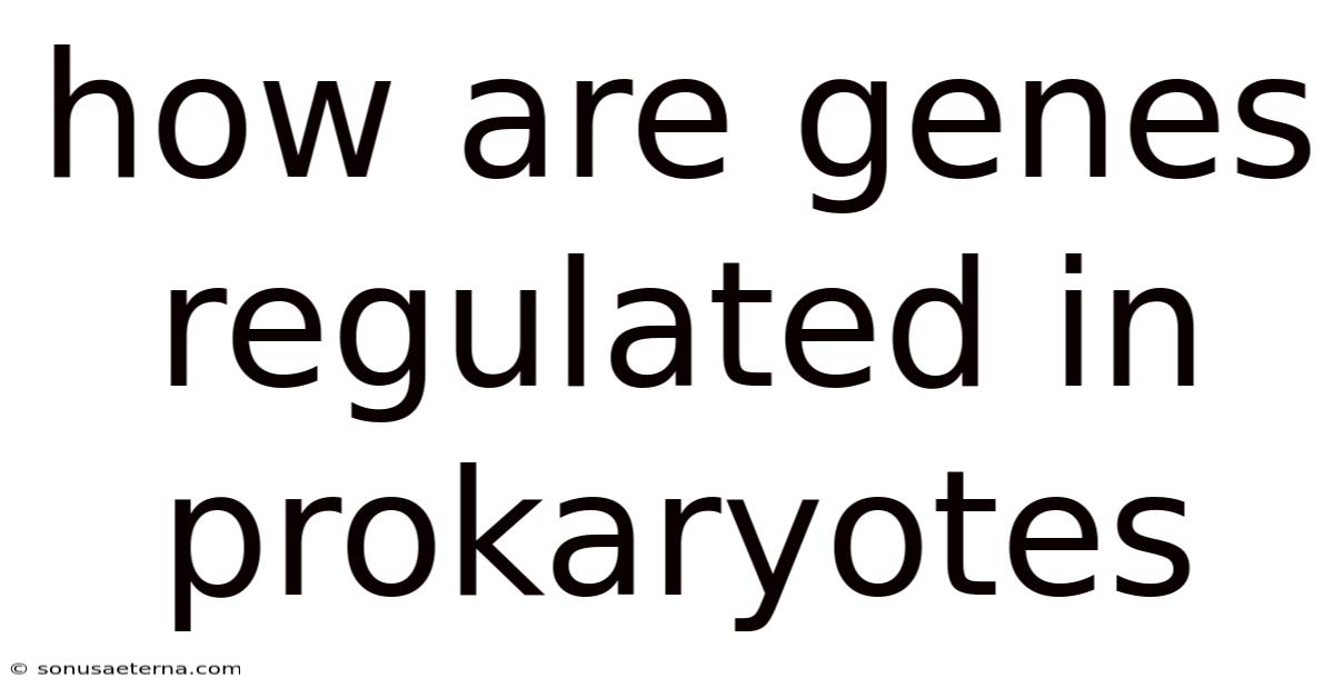 How Are Genes Regulated In Prokaryotes